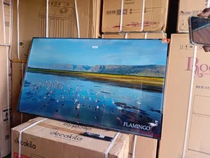 TCL 55-Inch Full Hd Tv – Sleek Design, Powerful Performance