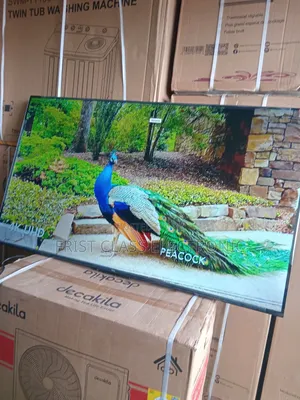 Stunning Picture, Smart Features — That’S TCL 55 Inches Tv
