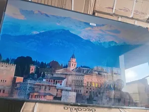 Experience Lifelike Colors on the TCL 55 Inches Smart Display