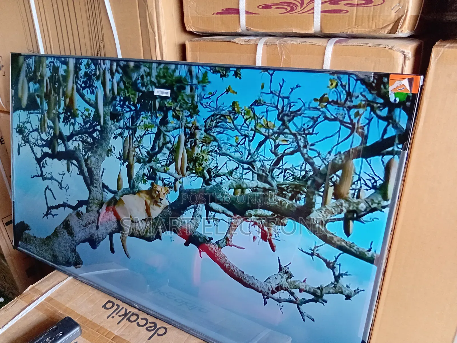 TCL Smart Remote Tv – Effortless Control
