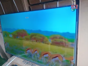 Big Screen Luxury for Your Living Room — TCL 55” Smart Tv.