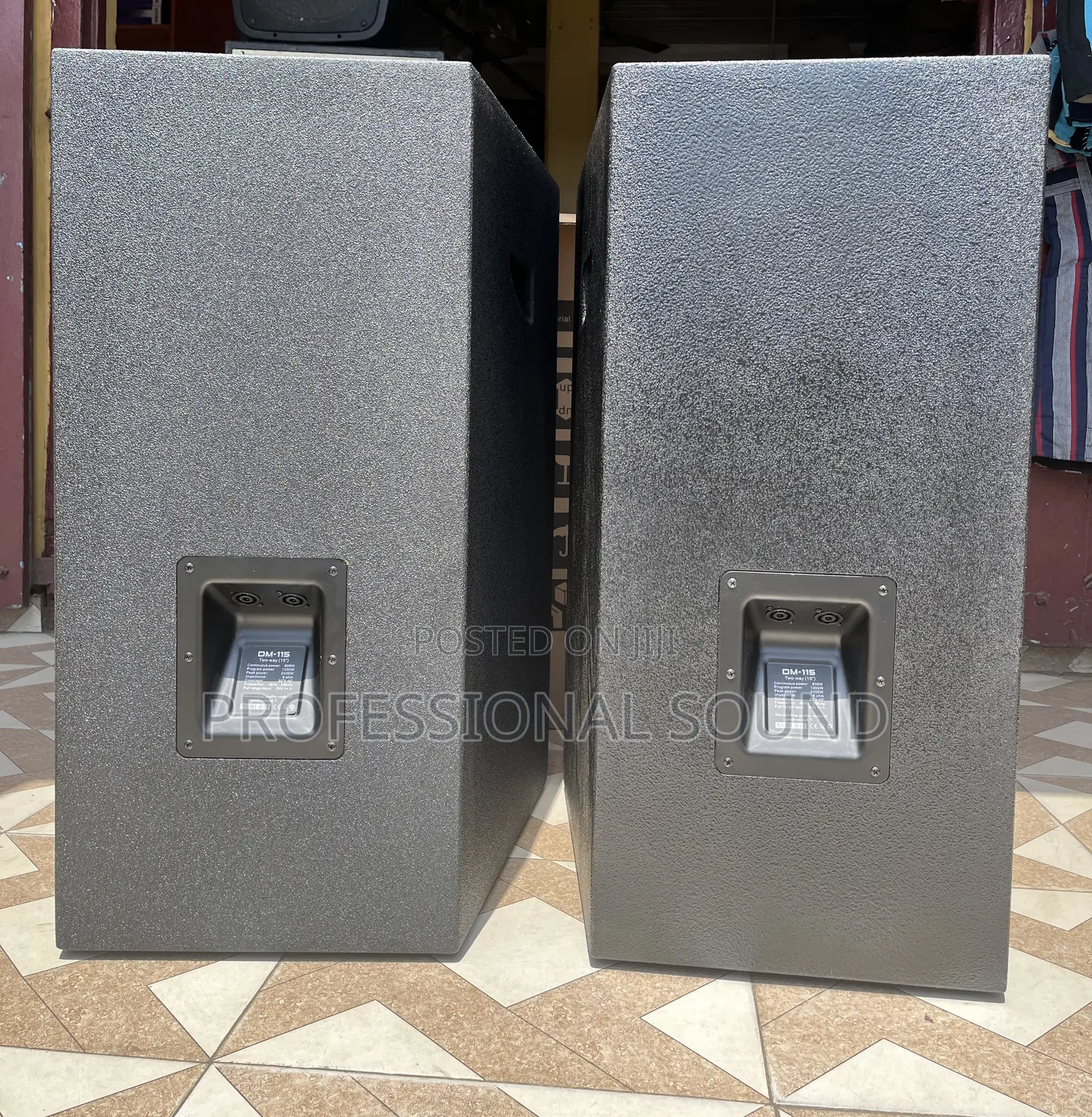 Evp Audio 15” Speaker