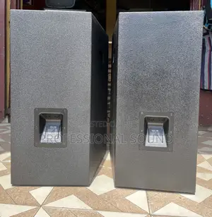 Evp Audio 15” Speaker