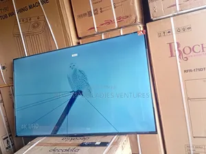 Redefine Entertainment With Tcl’S Brilliant 55-Inch Smart Display