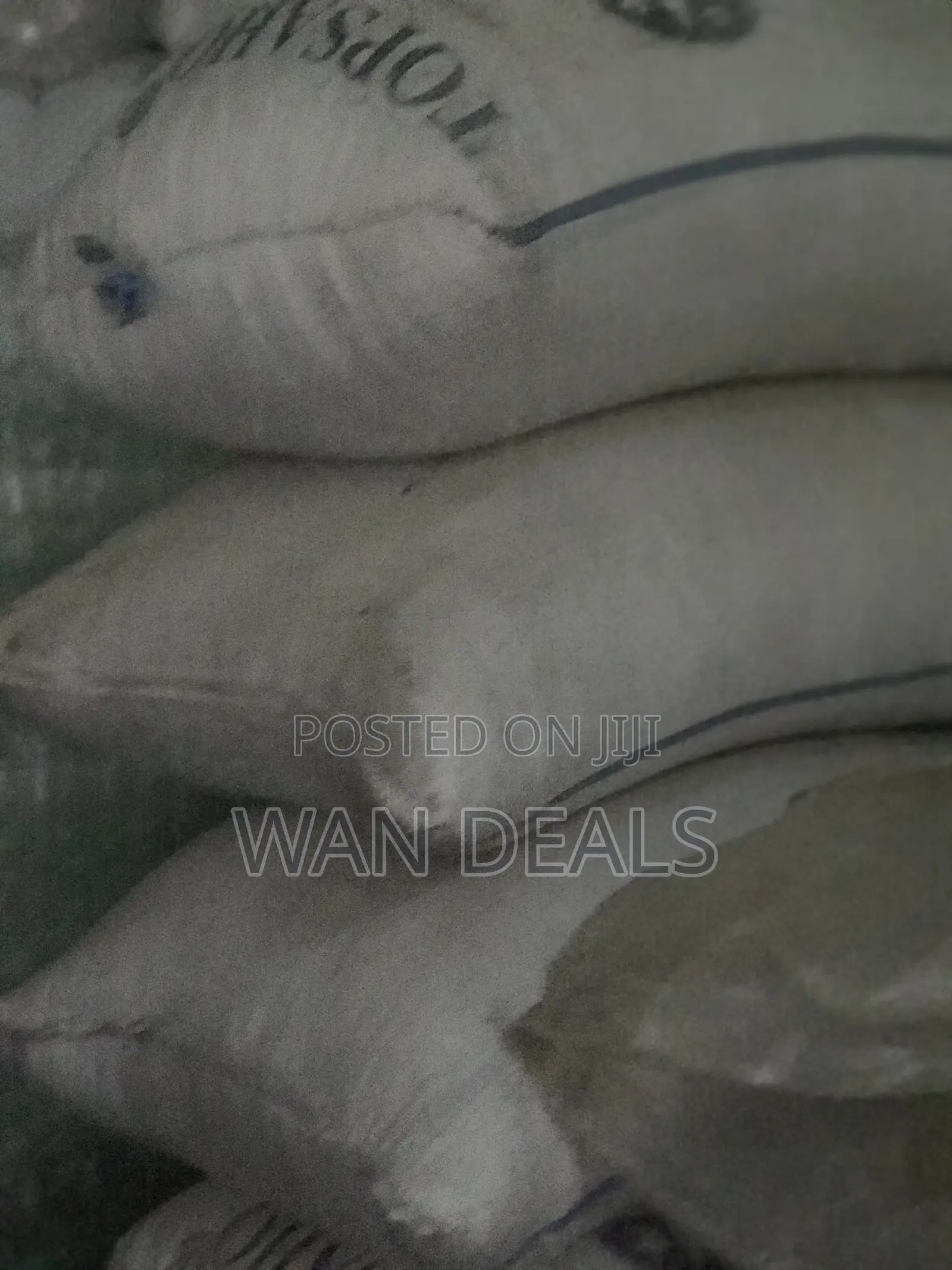 Millet 100kg in Stock (Available in Big Sack)