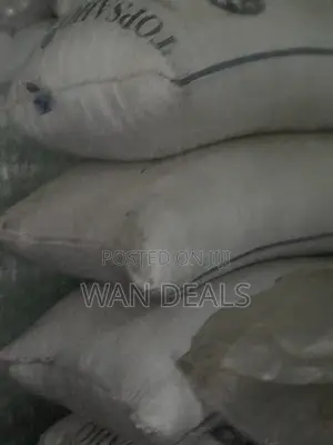 Millet 100kg in Stock (Available in Big Sack)