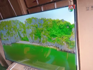 Smart Life, Big Screen — TCL 55” Smart Google Tv.