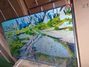 Real Visuals for Real Excitement — TCL 55” Smart Tv.