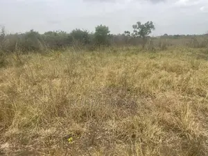 Service Plot for Sale at Prampram
