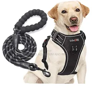 Long Leash With Potable Harness