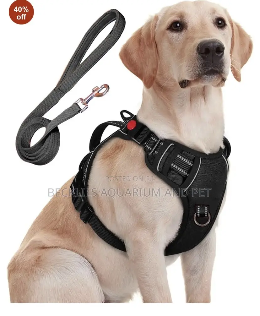 Long Leash With Potable Harness