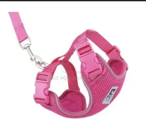 Pink Harness With Leash