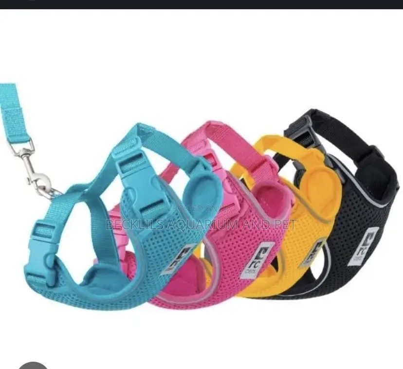 Pink Harness With Leash