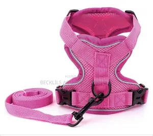Pink Harness With Leash