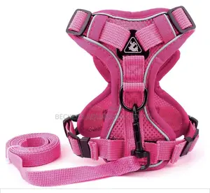 Pink Harness With Leash