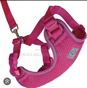 Pink Harness With Leash