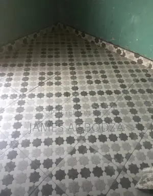 Good Professional Master Tiler