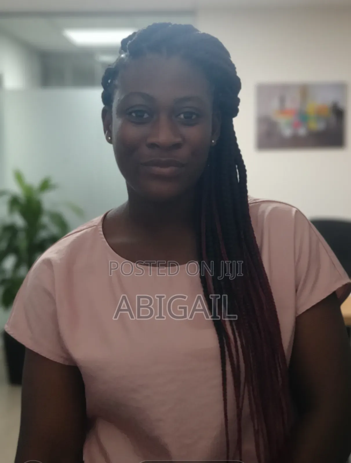 Virtual Assistant/ Admin Support 150ghc Per Task