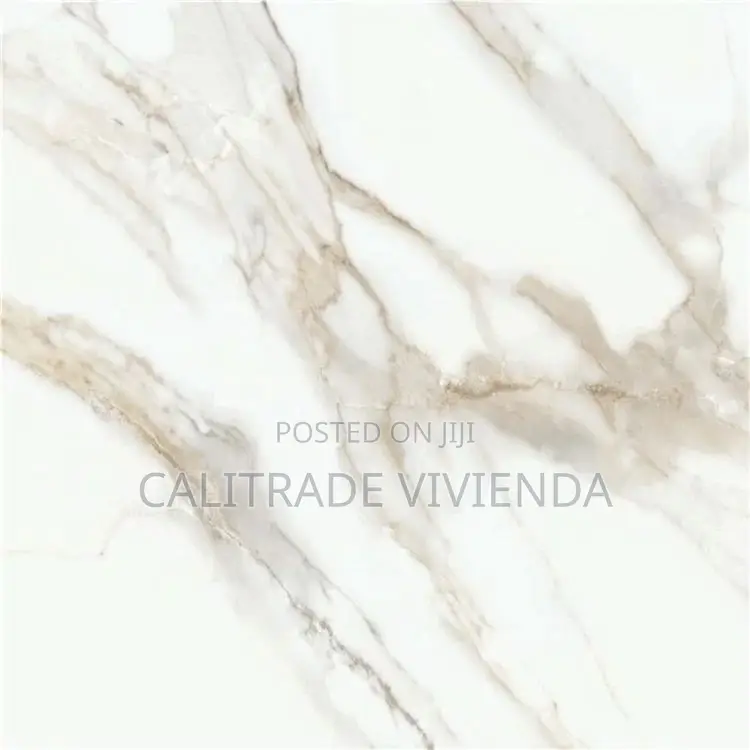 Matte Floor Tile (60*120cm)