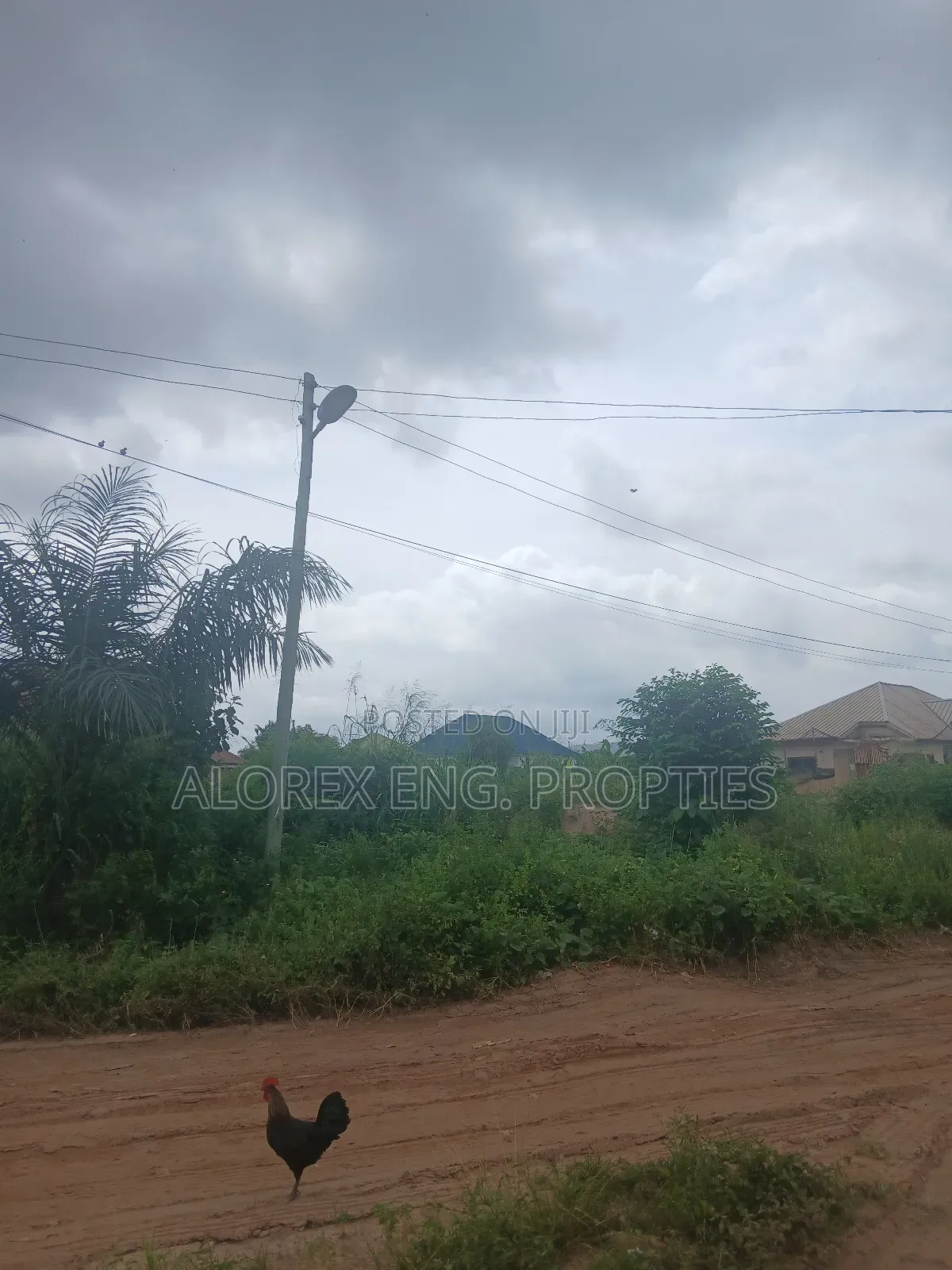Land for Sale at Akwapim Mampong
