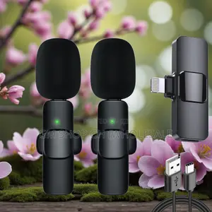Portable 2 in 1 Wireless Microphone (35446)