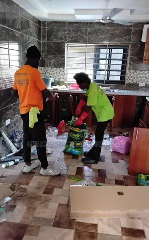Professional Deep Cleaning by Gibeon PFM