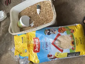 Jarad Parrot Food