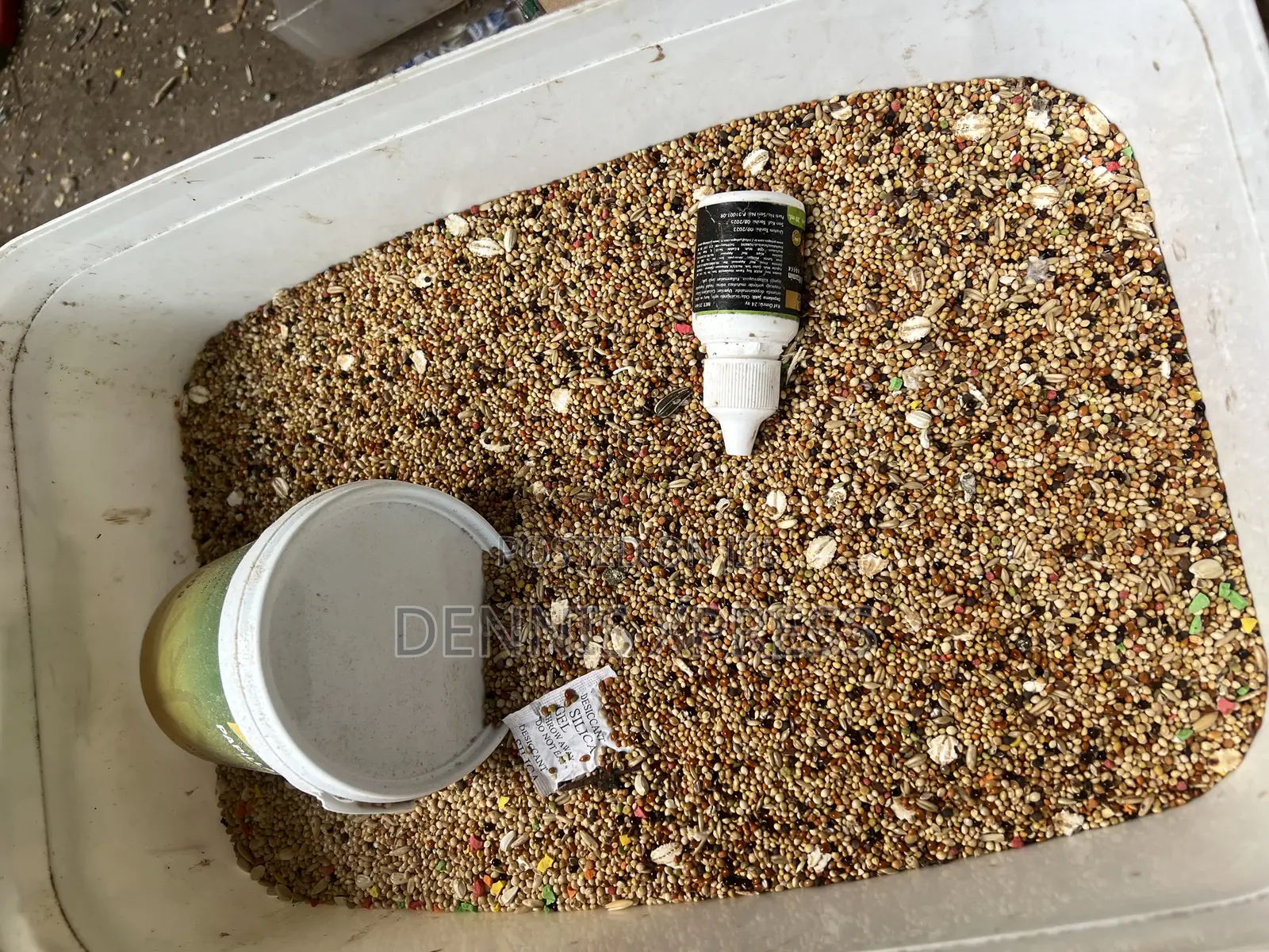 Jarad Parrot Food