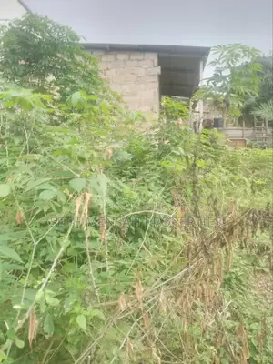 Seth Mensah Properties