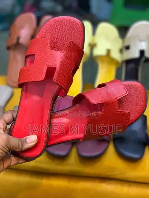 Designer Slippers From Hermes