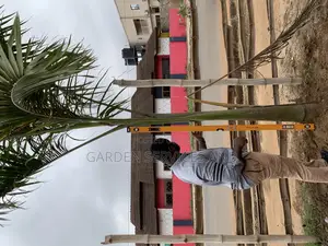 Royal Palms Available