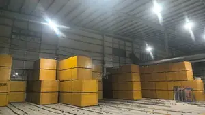 Wholesale Marine Plywood / Decking Board 18mm / Formwork / Plywood