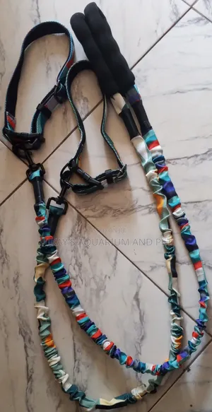 Collar With Leash for Dogs