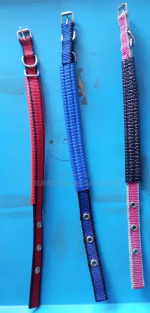 Collar for Big Dogs