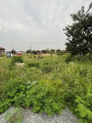 3 Plot of Title Land at Oyarifa for Sale