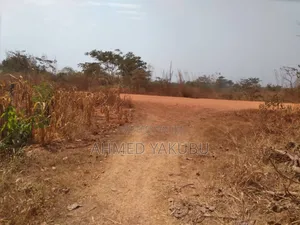 Mango and Cashew Farm Land for Sale
