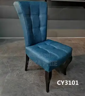 Luxurious Chair for Home or Office