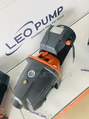 2-Hp Leo Cast Pump