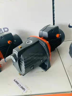 Electric Leo 1.5hp Cast Water Pump