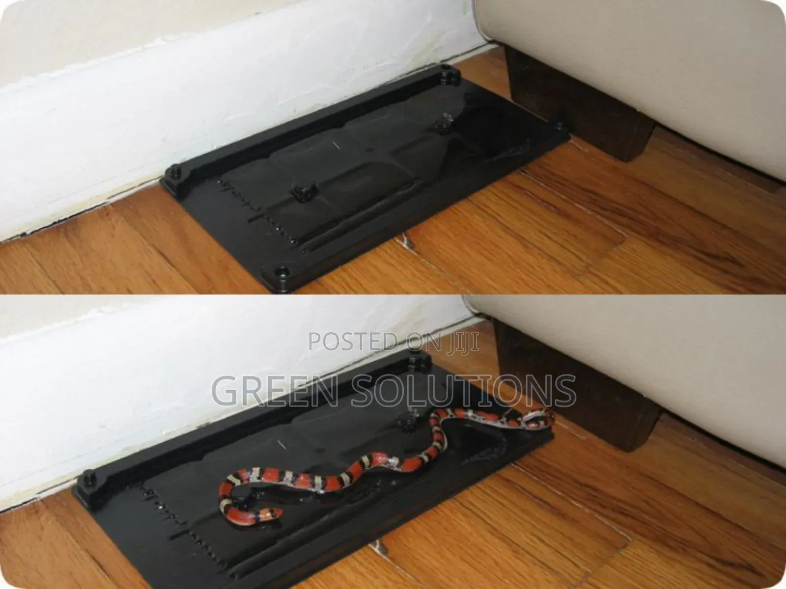 Mouse, Lizards, Snakes and Insect Trap