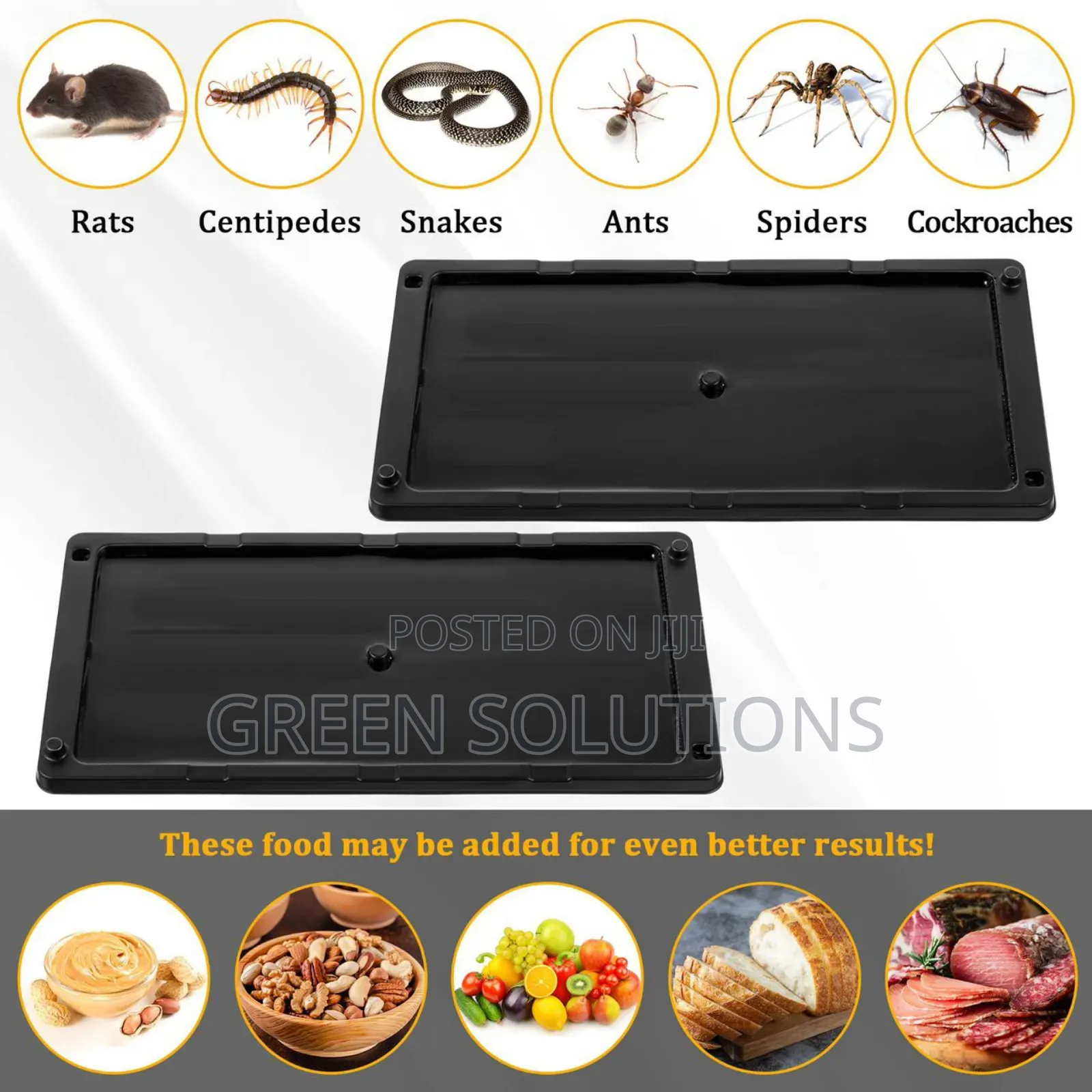 Mouse, Lizards, Snakes and Insect Trap