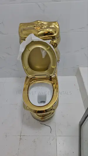 Royal European Gold Toilet