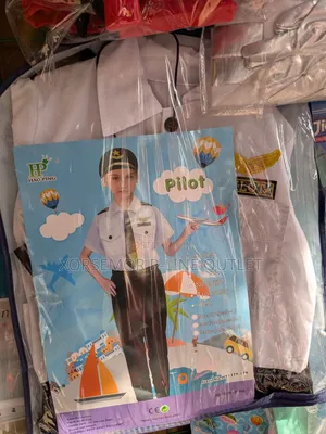 Pilot Career Day Costume