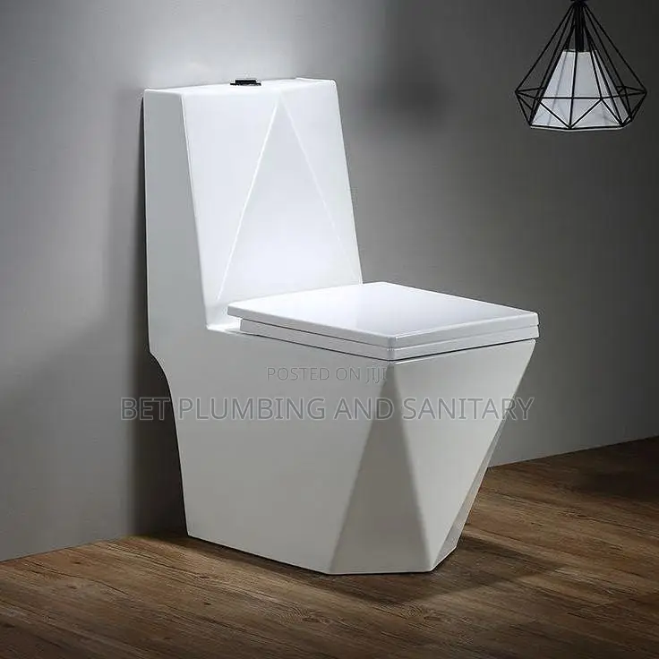 Imported Diamond Water Closet_combine Slow Close Wc