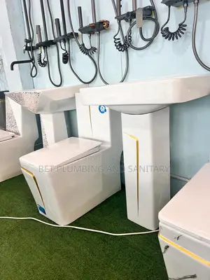 Soft Close Combine Water Closet With Wash Hand Basin_gold and White_wc