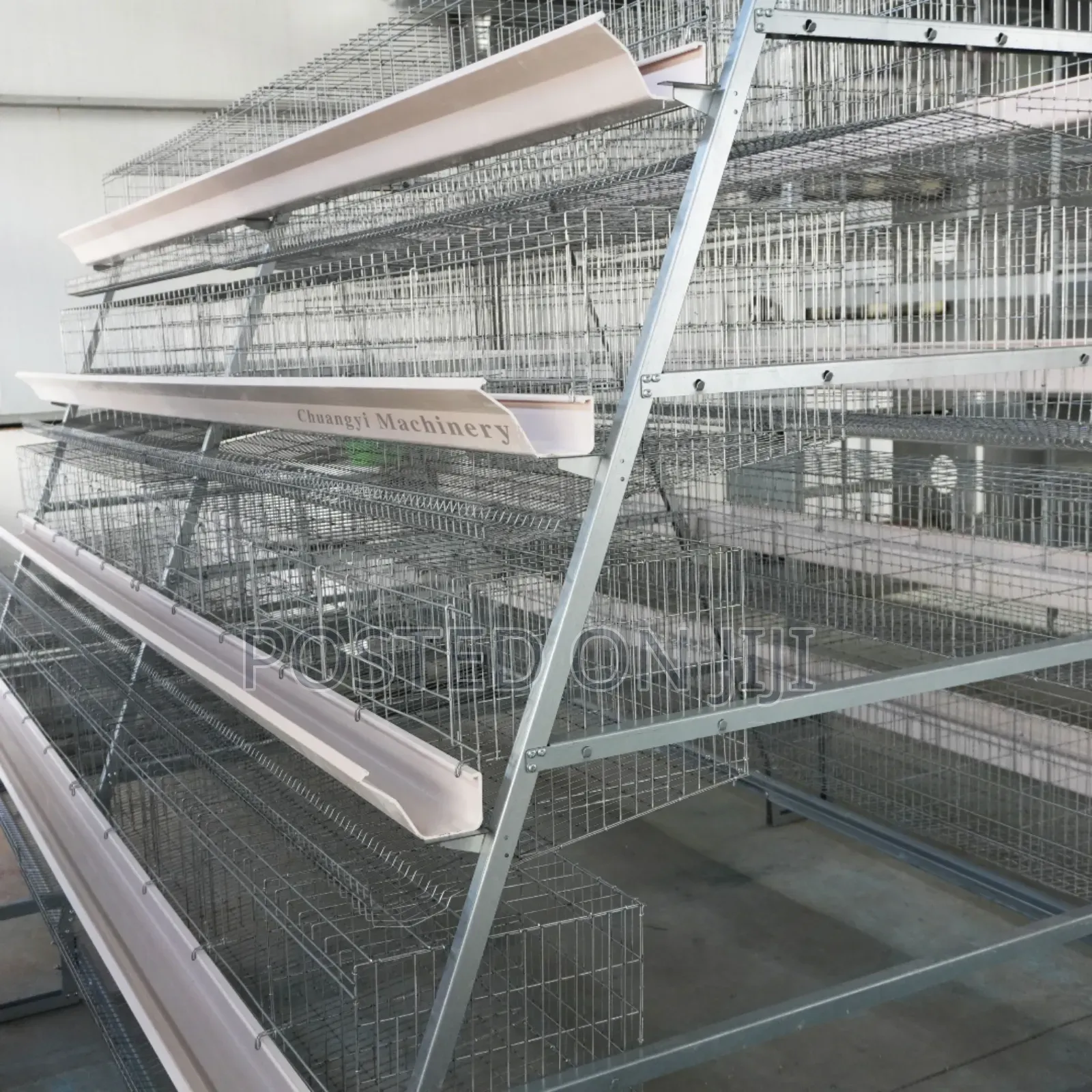 A-Type Poultry Cage