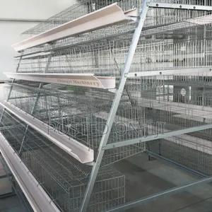 A-Type Poultry Cage