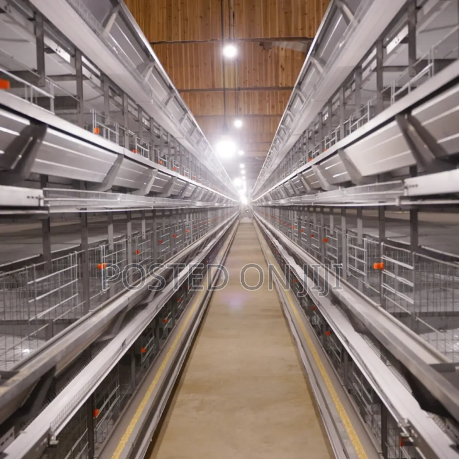 Fully Automated Chicken Cage