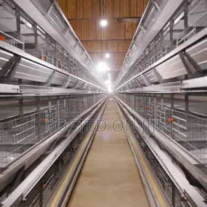 Fully Automated Chicken Cage