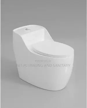Italian Combine Water Closet _Soft Close Wc_dual Wc_